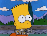 Observing Season 3 GIF by The Simpsons