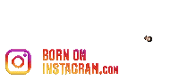Prashantjamwalboi Sticker by BORN ON INSTAGRAM