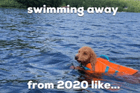 Quarantine Swimming GIF by healthybud