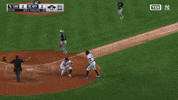 New York Yankees Win GIF by MLB
