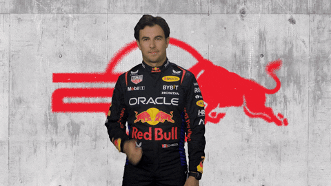 Red Bull Sport GIF by Oracle Red Bull Racing