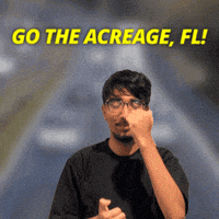 Palm Beach GIF
