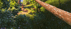 Excited On My Way GIF by Disney Princess