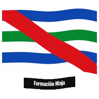 Castilla Y Leon Flag Sticker by Formación Ninja