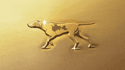 Dog Show GIF by Westminster Kennel Club