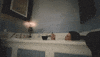 Amy Lee Wine GIF by Evanescence