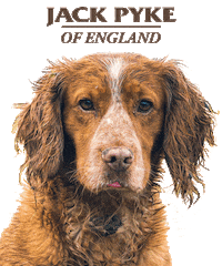 Dog Looking Good Sticker by Jack Pyke