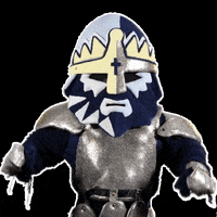 RytiriKladno kladno rytiri rytirikladno GIF
