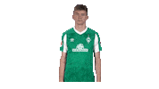 Bundesliga Nick Sticker by SV Werder Bremen