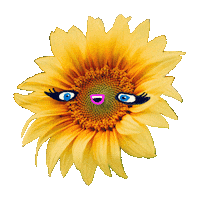 Miss You Love Sticker by BIMBA Y LOLA