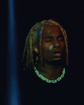 Playboi Carti GIF by Respective