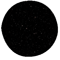 Folderitfest2022 Sticker by Folder IT