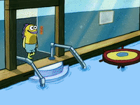 season 5 new digs GIF by SpongeBob SquarePants