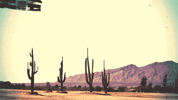 caro quintero dancing GIF by Mowgli420