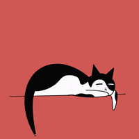 BueroLyndgrun katze alfie blalfie buerokater GIF