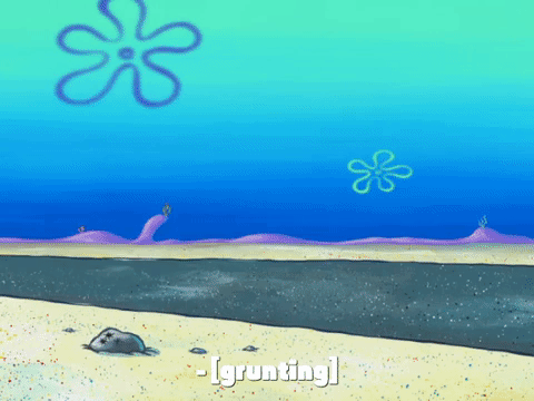season 7 episode 6 GIF by SpongeBob SquarePants