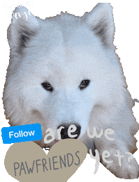 Dog Following Sticker