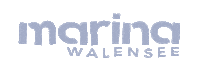 Walensee Sticker by Flumserberg