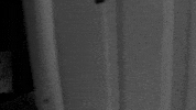 sub pop beach house band GIF by Sub Pop Records