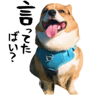 Corgi Milo Sticker