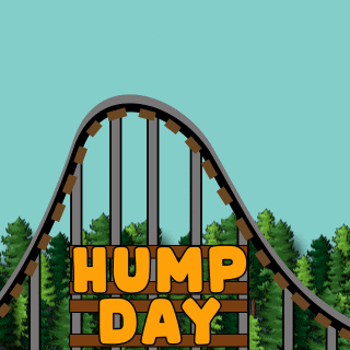 DoYouMoose nft adventure blockchain ride GIF