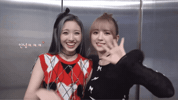 Waving GIF