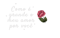 Meu Amor Sticker