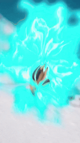 Snowboard GIF