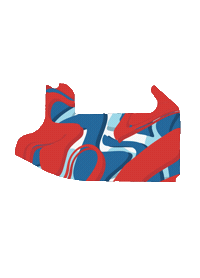 Racing F1 Sticker