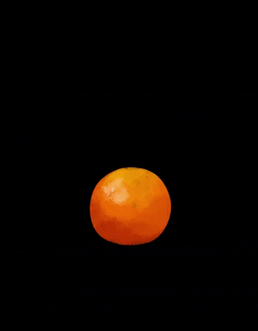 nkpcreate orange fruit citrus oranges GIF