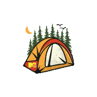 Travel Camping Sticker by MTV India