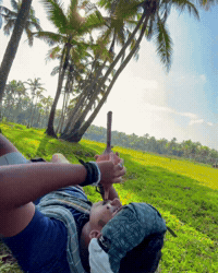 Snake Searching GIF