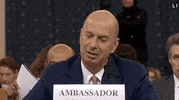 Impeachment Hearings GIF