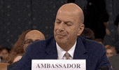 Impeachment Hearings GIF