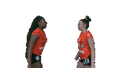 Chestbump Sticker by NUCVolleyball