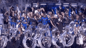 Halftime Show Football GIF by NFL