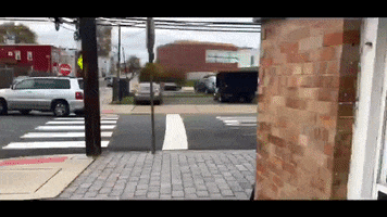 businessofmast business of mast aishan shetty GIF