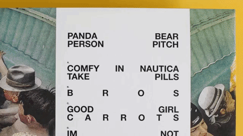 panda bear records GIF by Vinyl Me, Please
