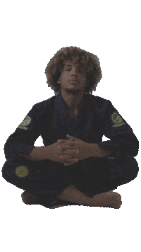 Shoyoroll-Brand bjj jiujitsu jiu jitsu ruotolos Sticker