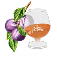 balqan sljivovica stara pesma rakije stara pesma rakijastarapesma Sticker