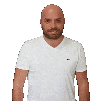 Haimor Sticker by Or Realestate