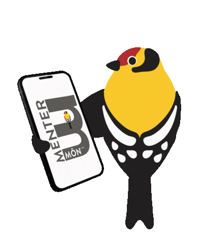 menter_mon giphyupload mm llwyddon lleol mentermon Sticker