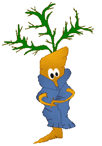 Shopping Reduce Sticker by Avoidwaste