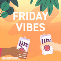 GIF by Miller Lite GIFs