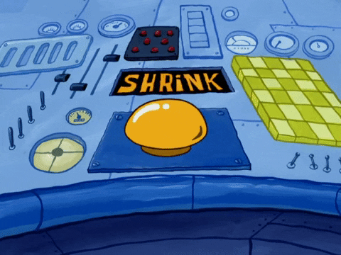 season 4 GIF by SpongeBob SquarePants