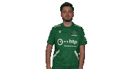 Hannover 96 Omg Sticker by Bundesliga