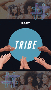 Trendtribe trendtribe GIF