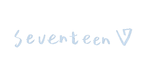 세븐틴 Carat Sticker