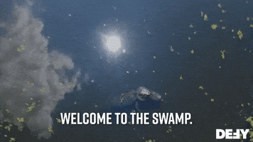 Welcome To The Swamp