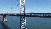 San Francisco California GIF by Yevbel